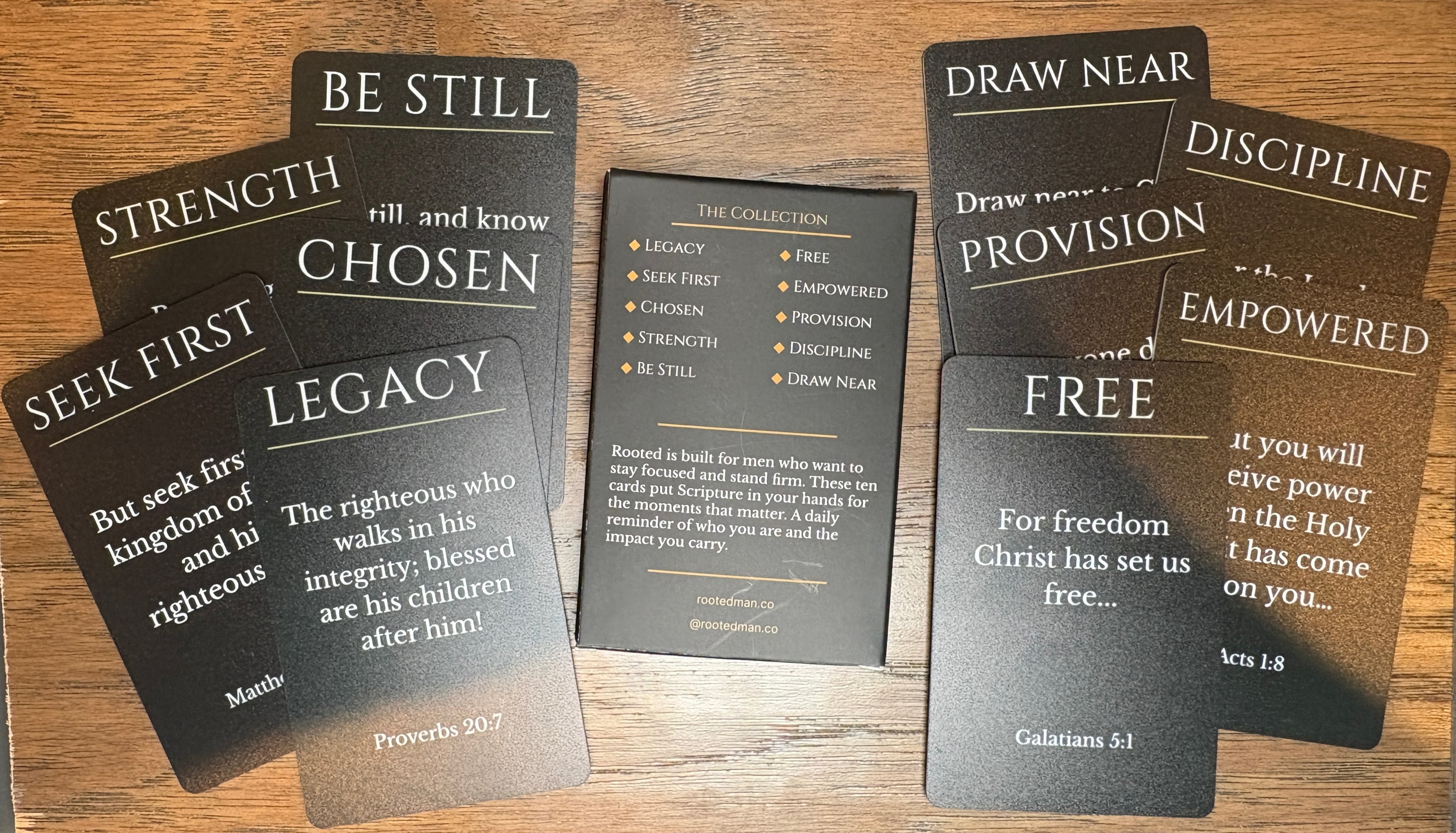Rooted: Volume One – Grounded